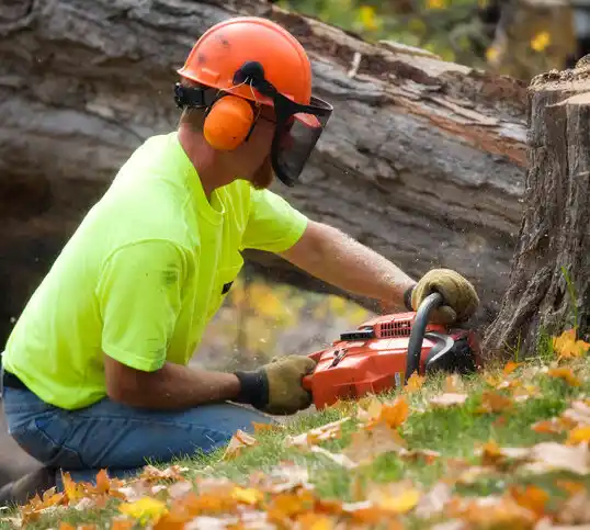 tree services Ridgely